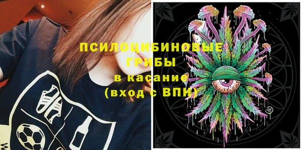 мет Бородино