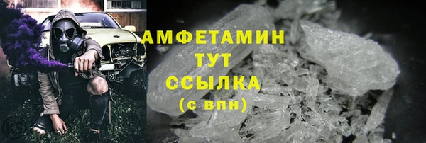 МДПВ Инсар