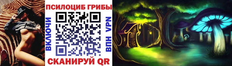 Псилоцибиновые грибы Psilocybine cubensis  Кингисепп 