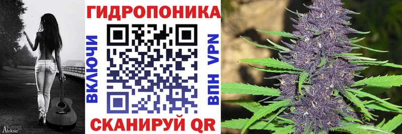площадка официальный сайт  Кингисепп  Конопля план 
